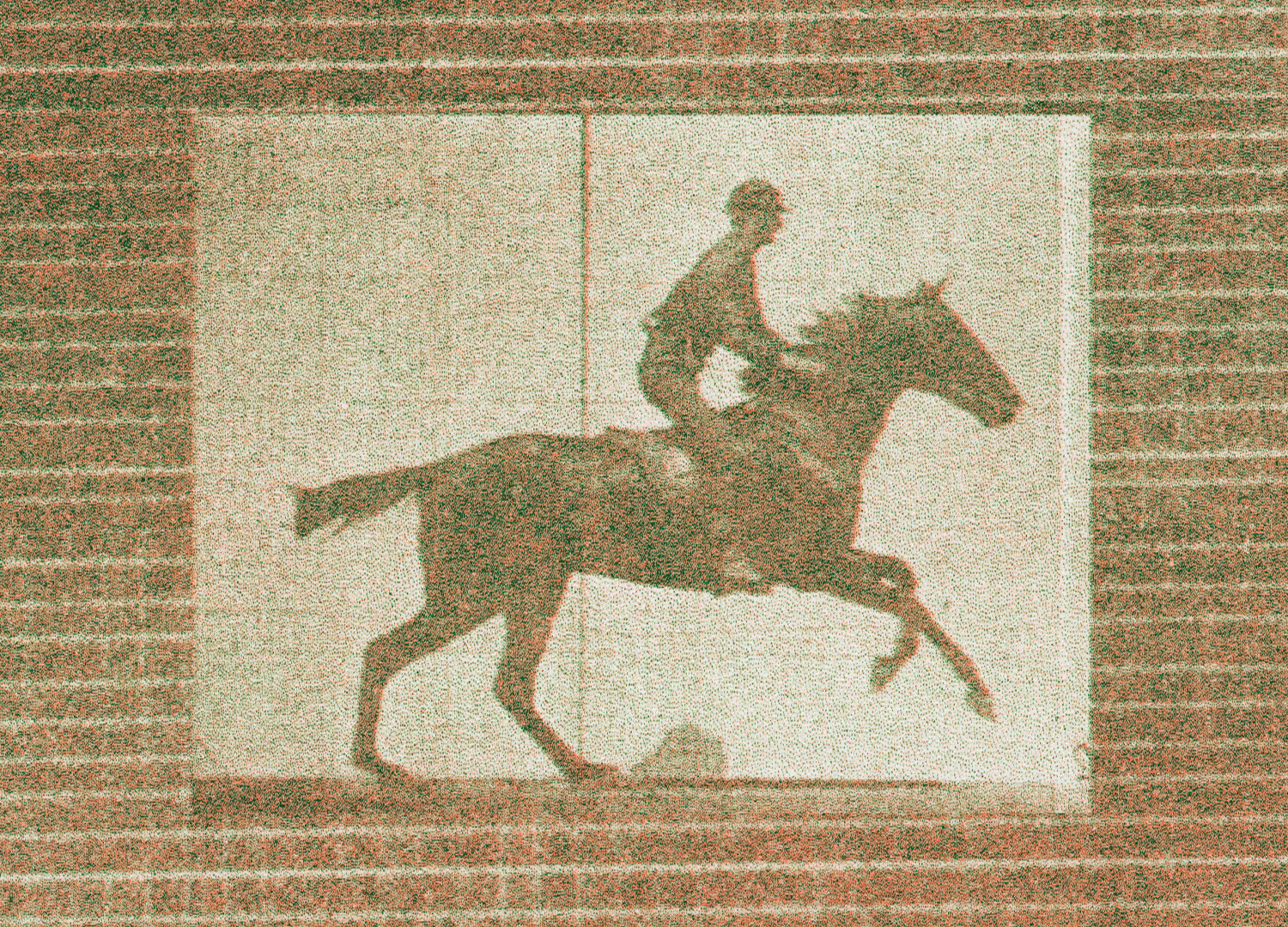 horse galloping on loop